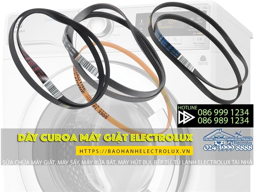 dây curoa máy giặt electrolux