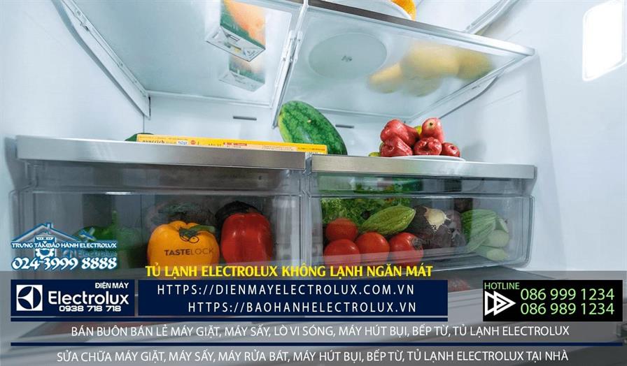 Tủ lạnh Electrolux không lạnh ngăn mát