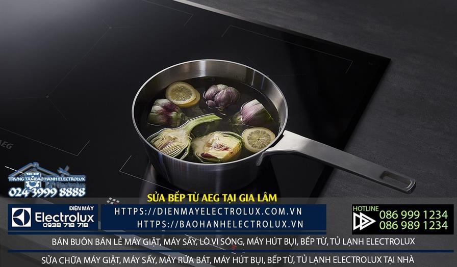 Sửa bếp từ AEG tại Gia Lâm