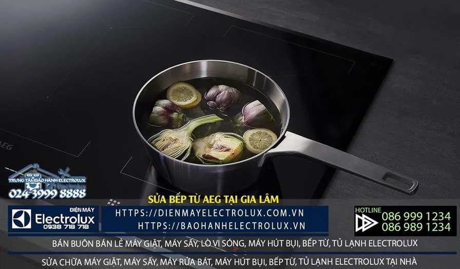 Sửa bếp từ AEG tại Gia Lâm