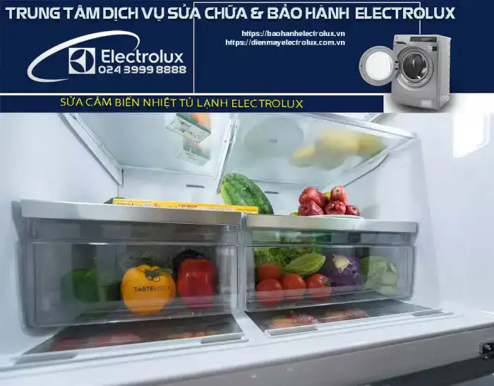 Sensor cảm biến nhiệt tủ lạnh Electrolux bị hỏng