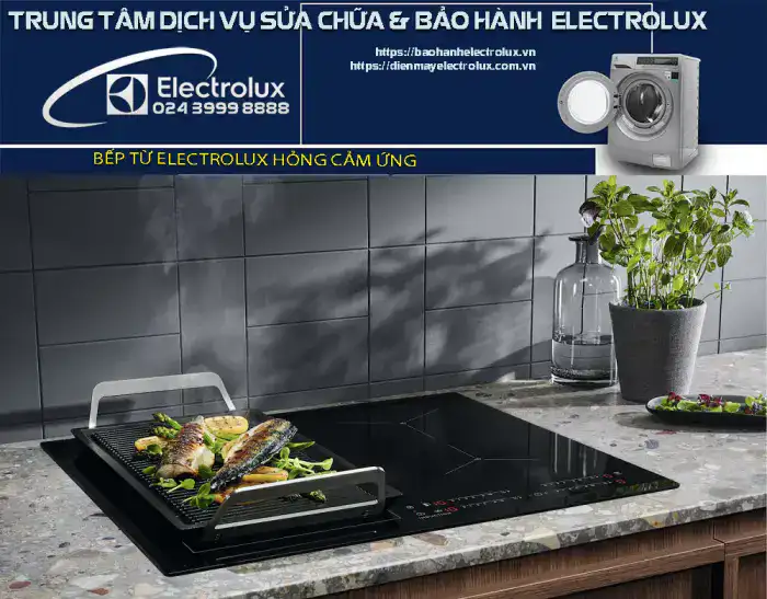 Bếp từ Electrolux hỏng cảm ứng