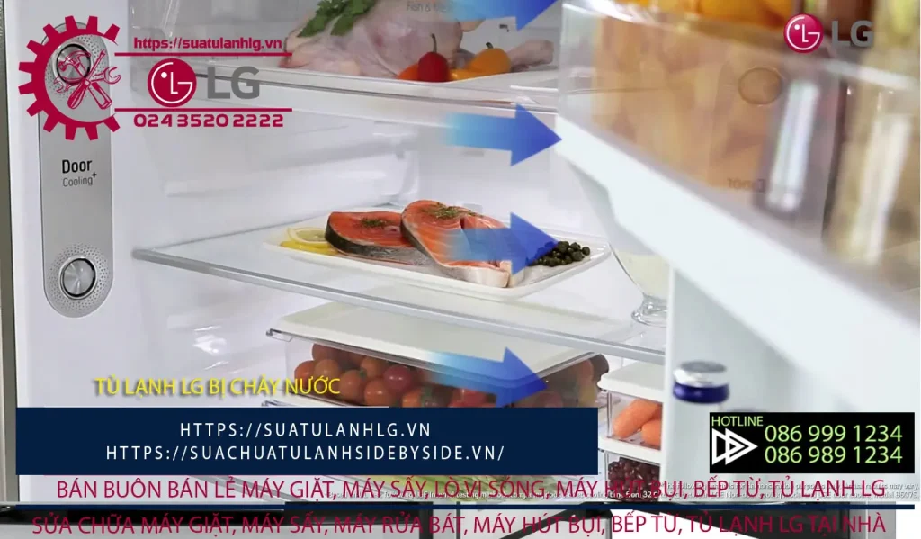 Fresh salmon steaks stored inside an LG refrigerator to prevent water leakage and spoilage.