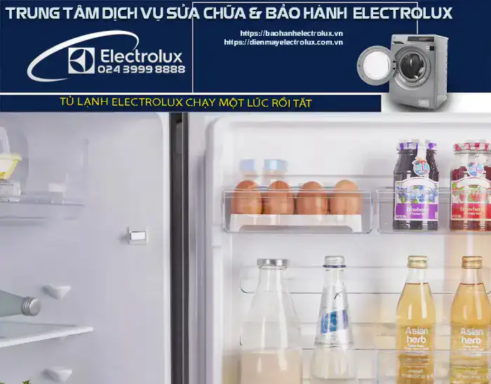 Tủ lạnh Electrolux đang chạy tự tắt