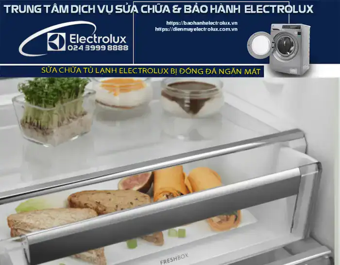 Tủ lạnh Electrolux bị đóng đá ngăn mát