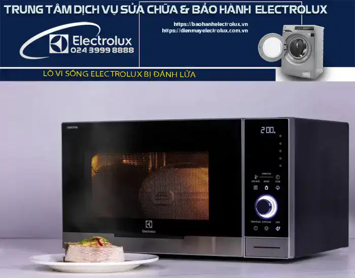 Lò vi sóng Electrolux bị đánh lửa