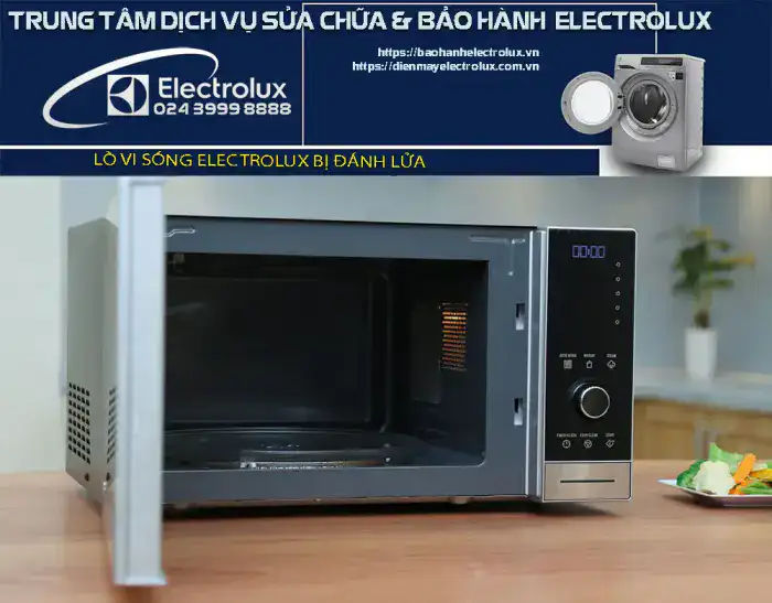 Lò vi sóng Electrolux bị đánh lửa