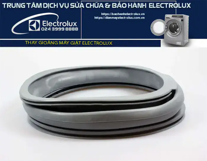 Thay gioăng máy giặt Electrolux