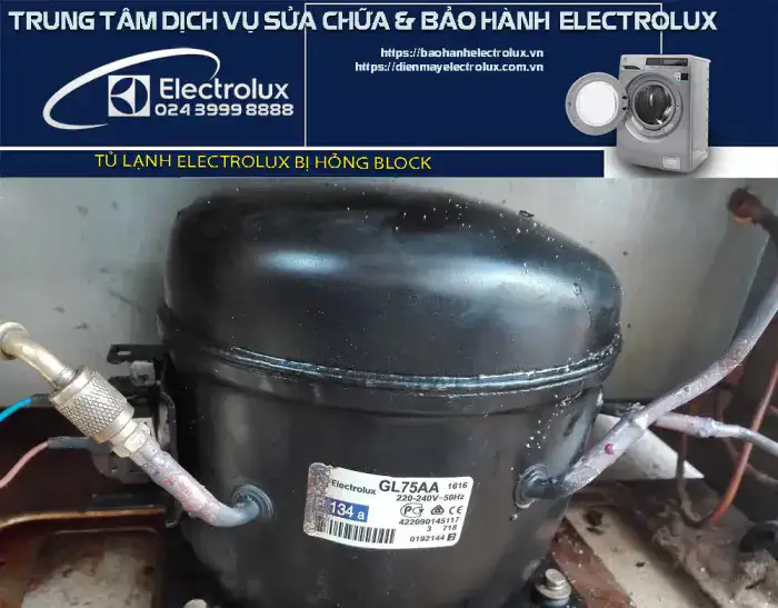 Tủ lạnh Electrolux bị hỏng block