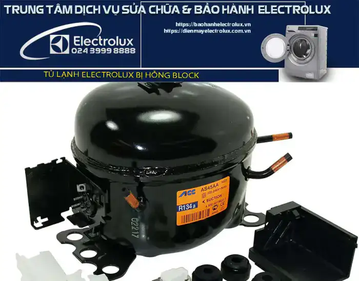 Tủ lạnh Electrolux bị hỏng block