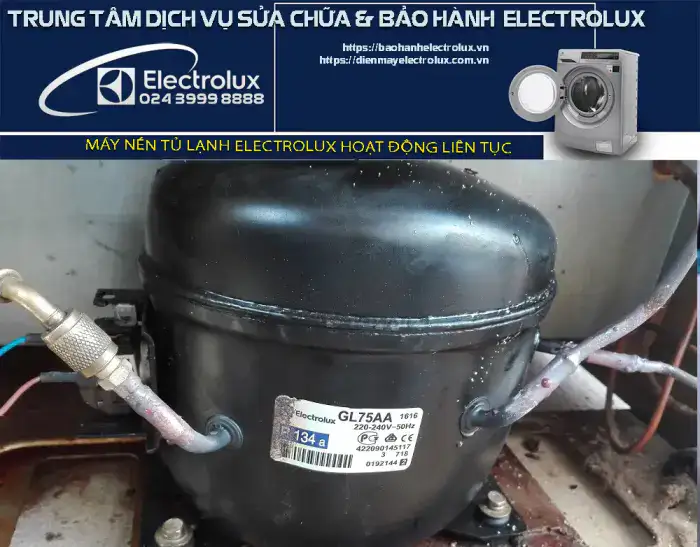 Máy nén tủ lạnh Electrolux hoạt động liên tục