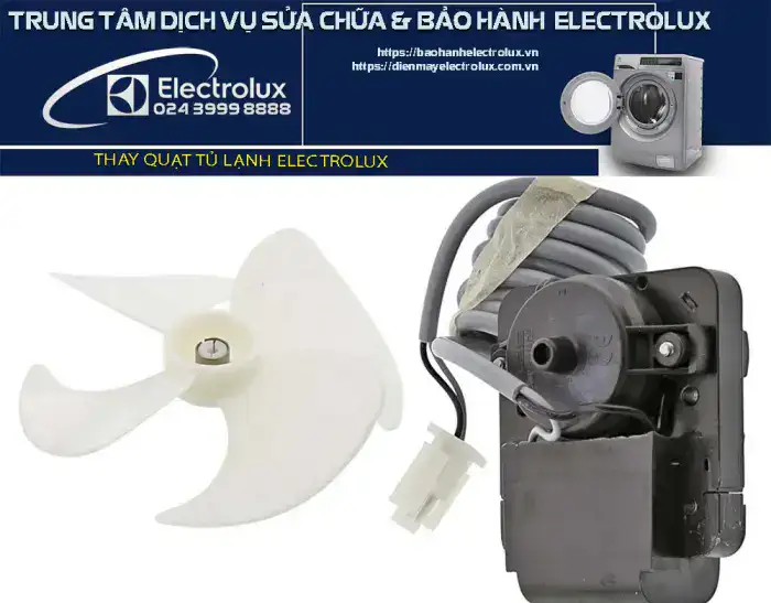 Thay quạt tủ lạnh Electrolux