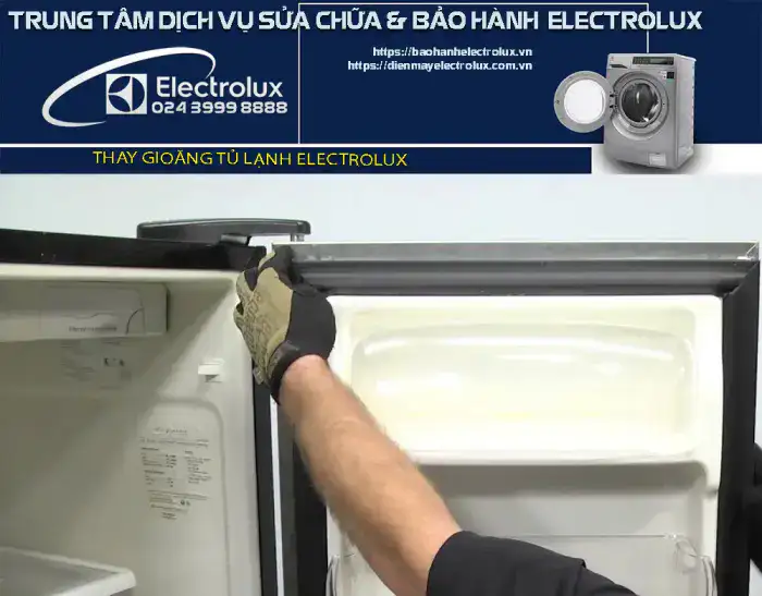 Thay gioăng tủ lạnh Electrolux