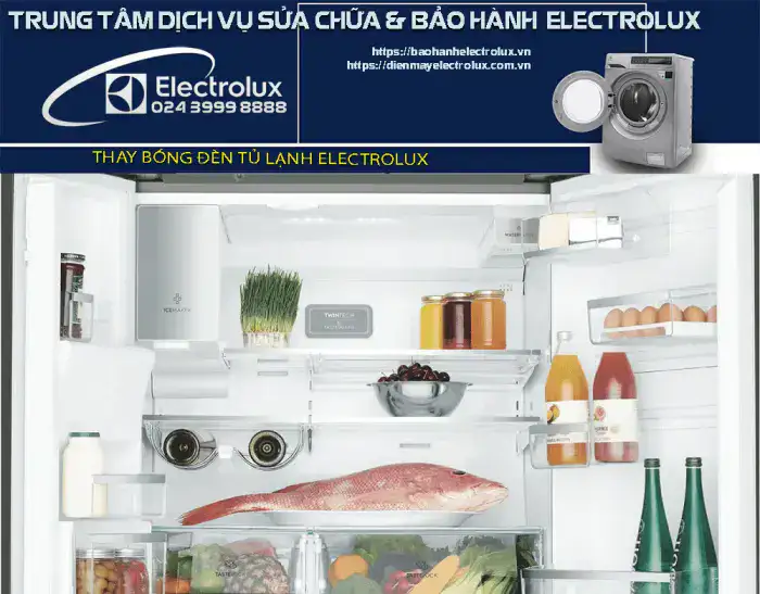 Thay bóng đèn tủ lạnh Electrolux