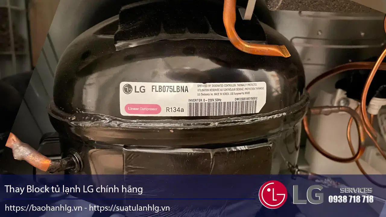 Lưỡi – Block tủ lạnh LG Uy tín, thay thế linh kiện máy lạnh công nghiệp và gia đình, bảo hành uy tín tại Nguyên Dương, liên hệ 0988 177 888.