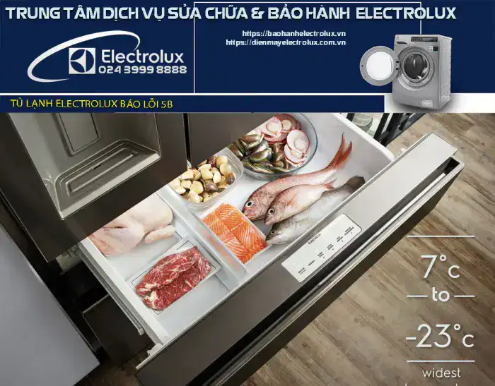 Tủ lạnh Electrolux báo lỗi 5b