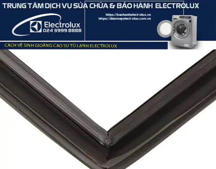 Vệ sinh gioăng cao su tủ lạnh Electrolux đơn giản trong 3 bước