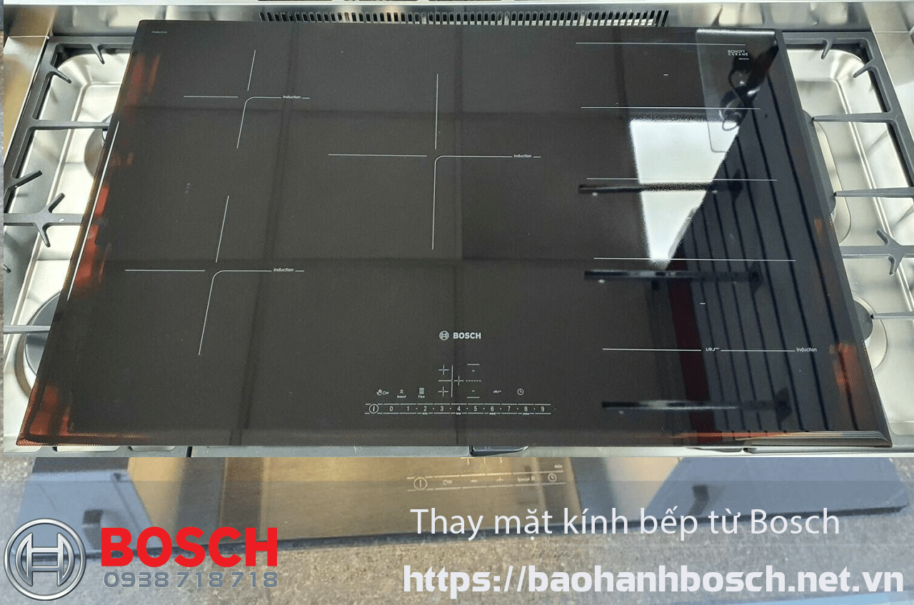 máy rửa bát Bosch báo lỗi E01