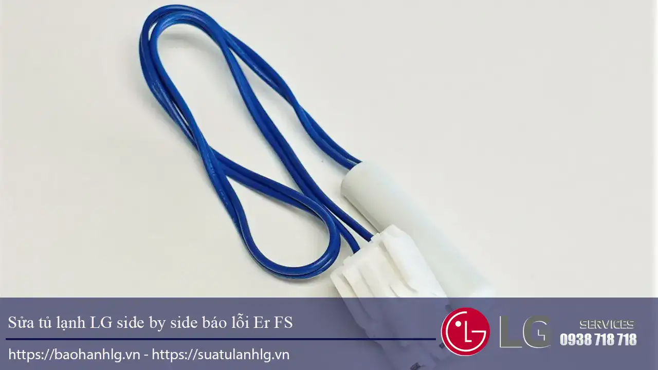 Tủ lạnh LG side by side báo lỗi Er FS
