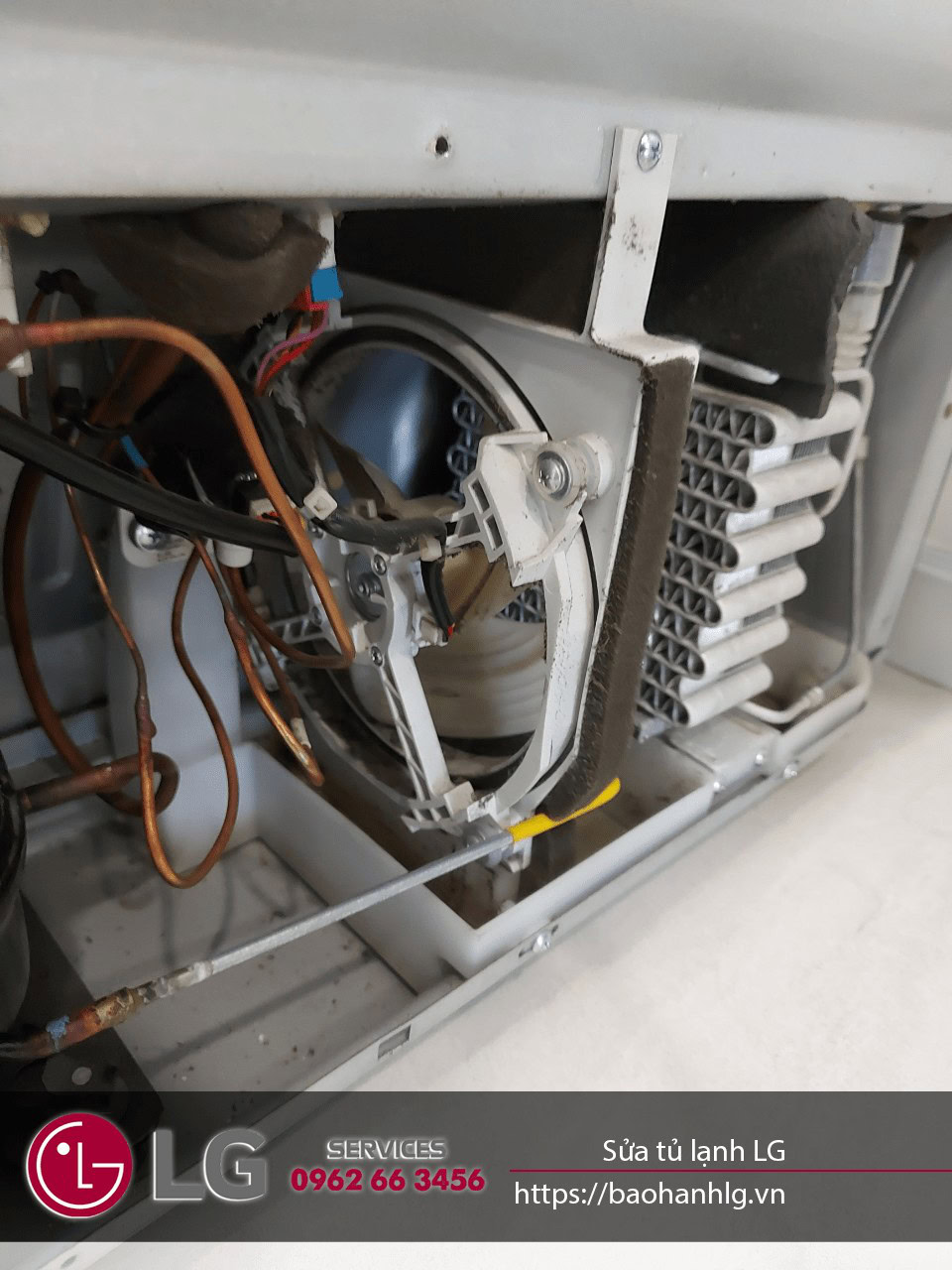 Thay quạt tủ lạnh LG