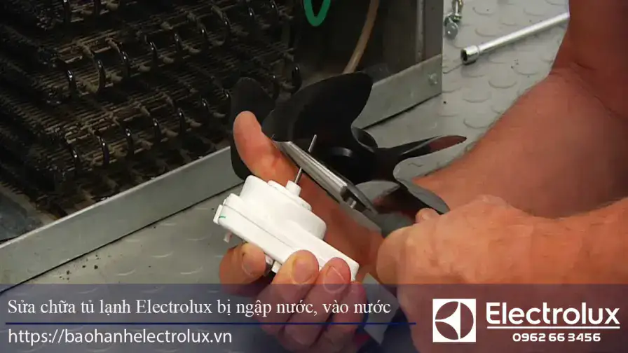 Tủ lạnh Electrolux bị ngập nước, vào nước phải xử lý thế nào?