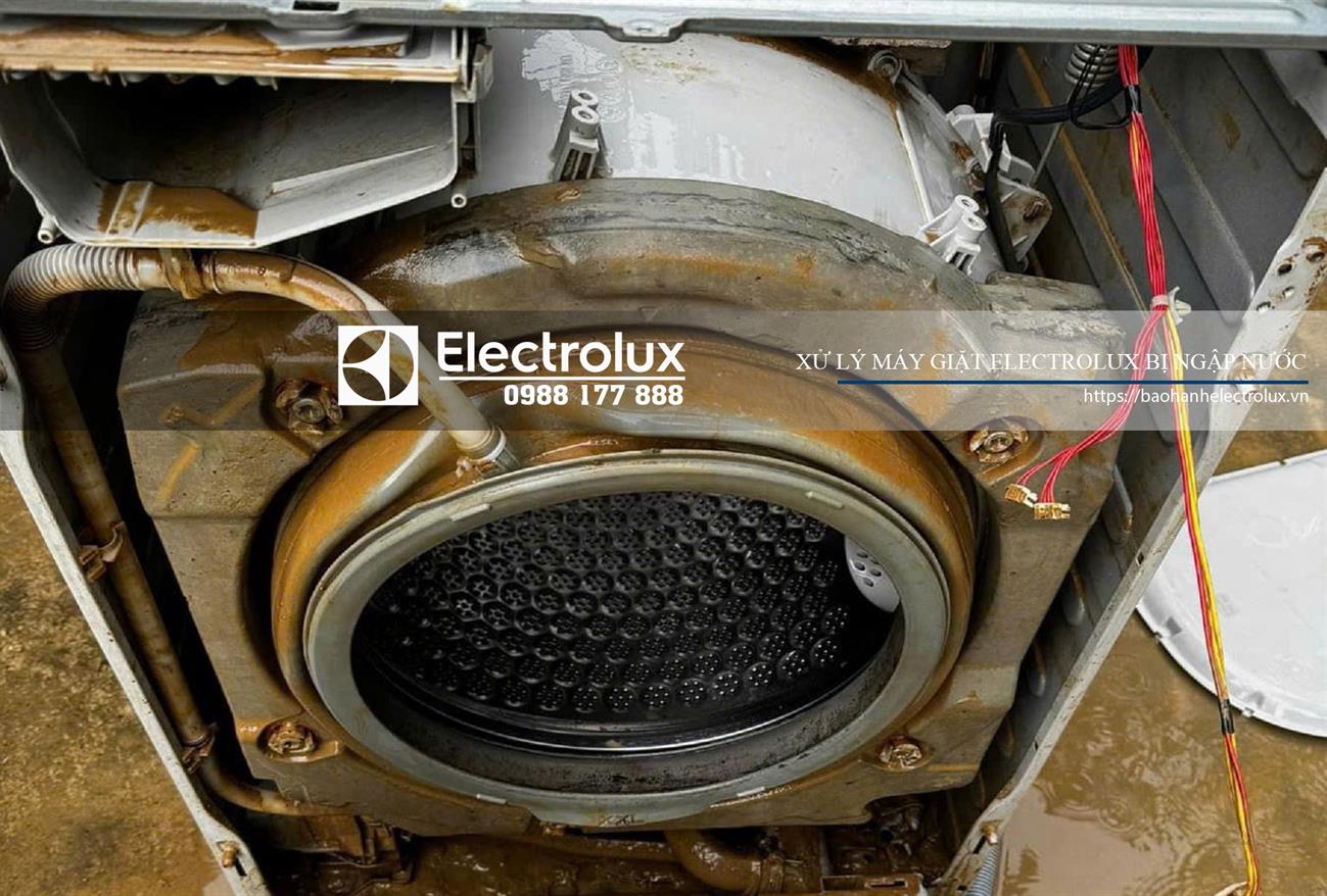 Nhanh chóng xử lý ngay khi máy giặt Eelctrolux bị ngập nước