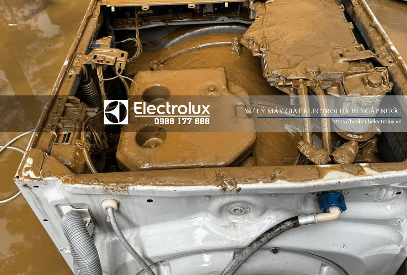 Làm sạch, sửa chữa hoặc thay thế linh kiện bị hỏng sau sự cố máy giặt Electrolux bị ngập nước