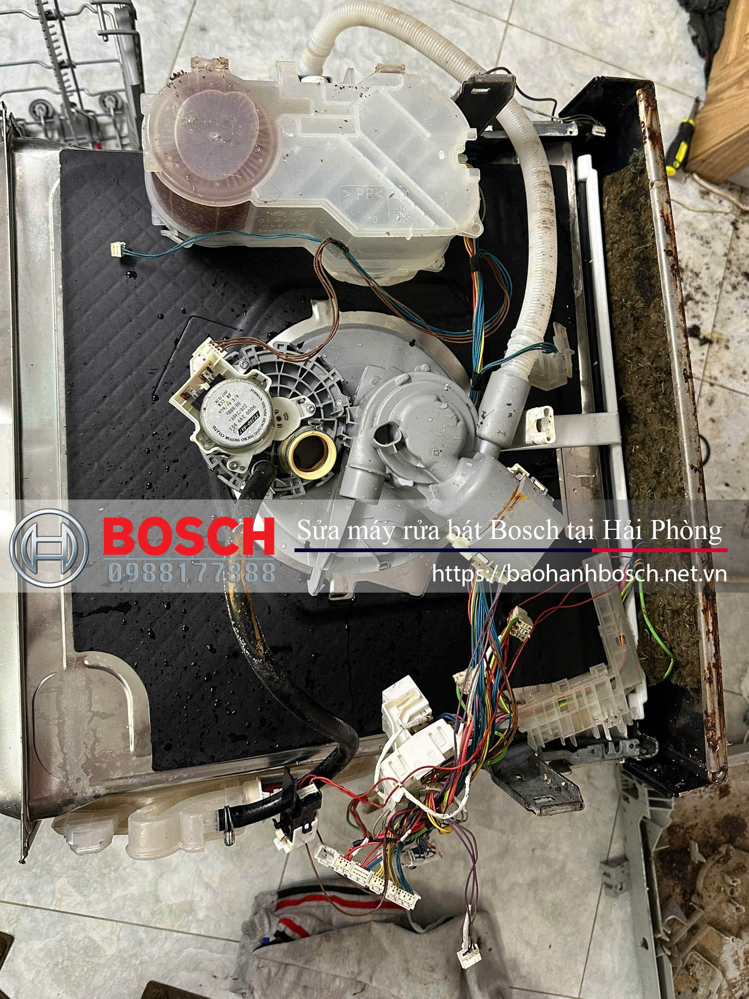 Sửa máy rửa bát Bosch tại Hải Phòng giá tốt