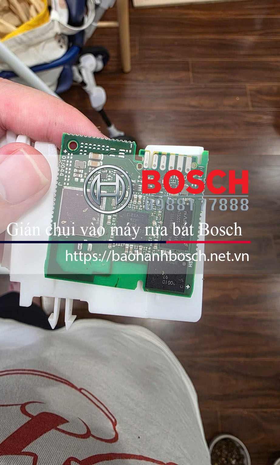 Gián chui vào máy rửa bát Bosch có thể làm hỏng mạch