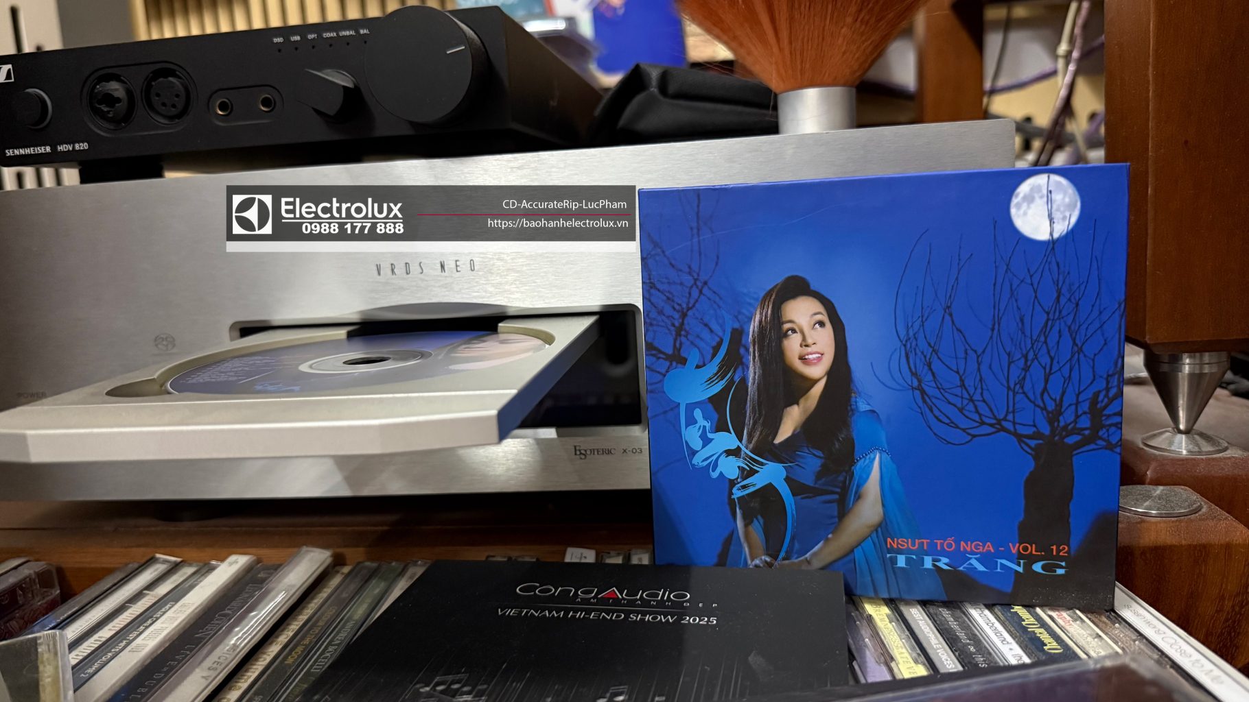 TOÀN BỘ CÁC ALBUM NHẠC VIỆT NAM [Phần I] - ĐIỆN TỬ ĐIỆN LẠNH NGUYÊN ...