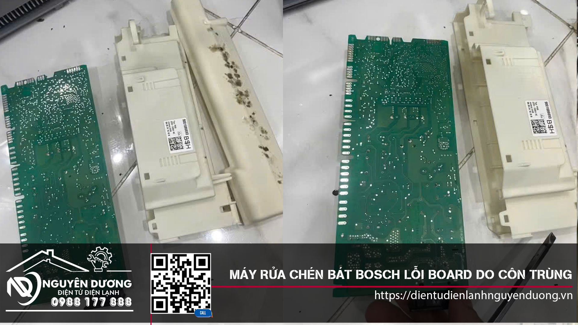 Máy Rửa Chén Bát Bosch Lỗi Mạch Do Côn Trùng