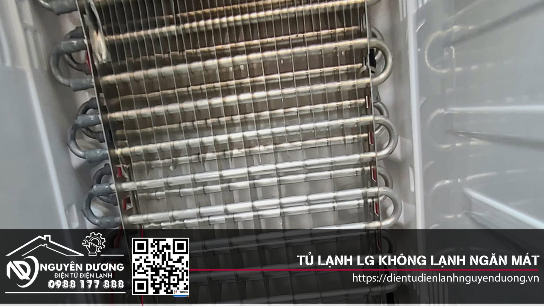 Tủ Lạnh LG Không Lạnh Ngăn Mát