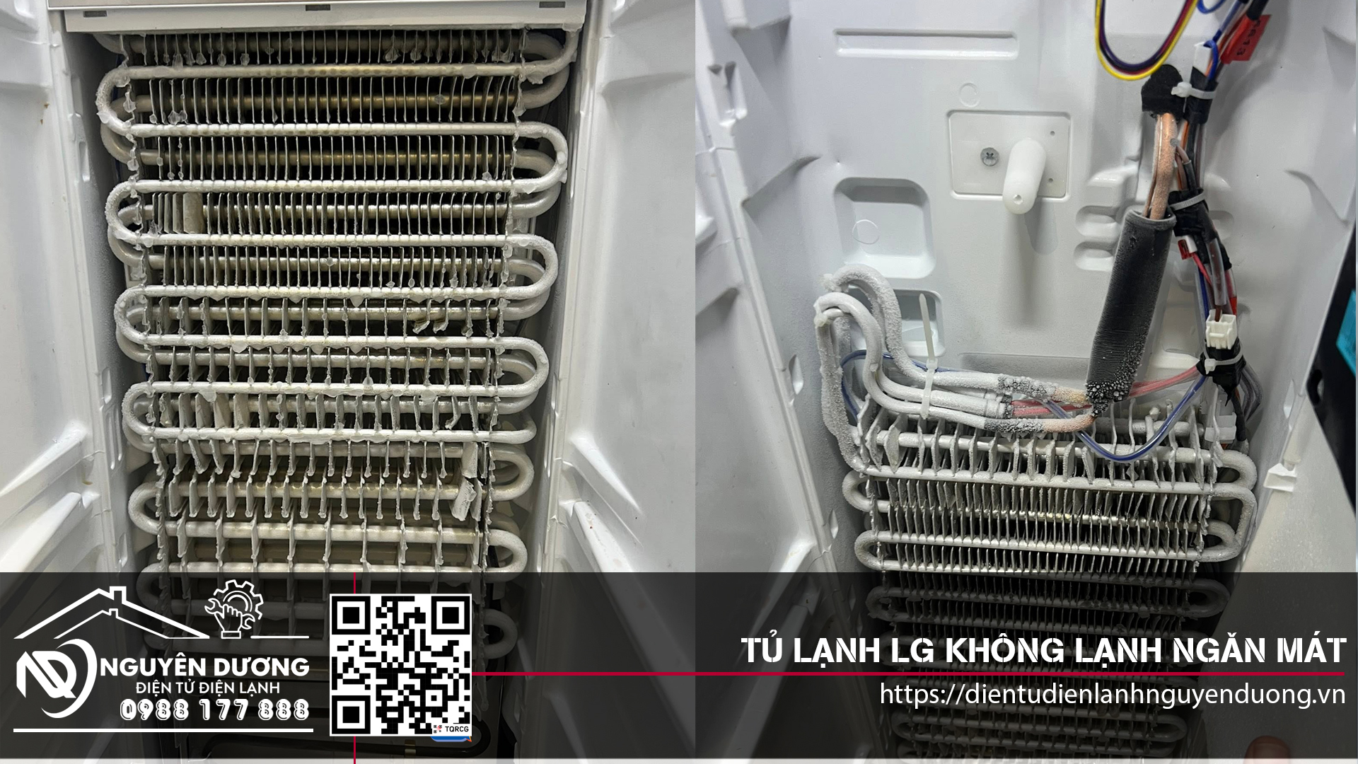 Tủ Lạnh LG Không Lạnh Ngăn Mát